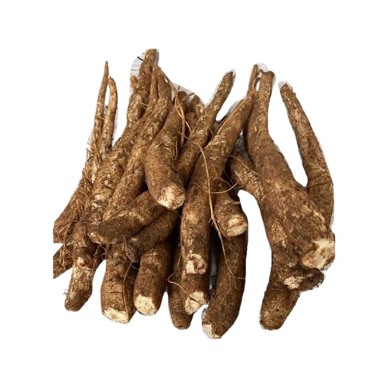 云南現(xiàn)挖新鮮馬刺根雞刺根大薊根刺蘿卜惡雞婆燉雞燉排骨燉豬蹄