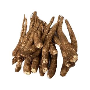 云南现挖新鲜马刺根鸡刺根大蓟根刺萝卜恶鸡婆炖鸡炖排骨炖猪蹄