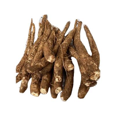 云南现挖新鲜马刺根鸡刺根大蓟根刺萝卜恶鸡婆炖鸡炖排骨炖猪蹄