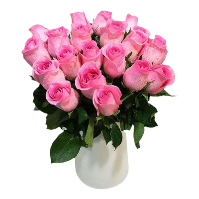玫瑰花鲜花云南基地直发水养插花
