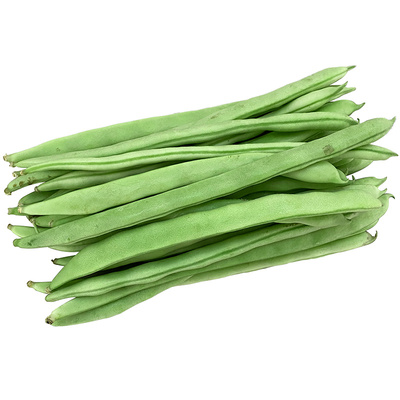 农家自种现摘现发脆嫩无筋四季豆