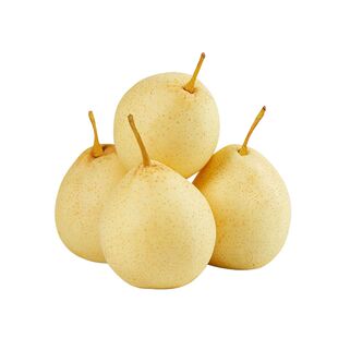 正宗河北邯郸魏县精品大鸭梨产地直发精品鸭梨脆甜多汁现摘现发