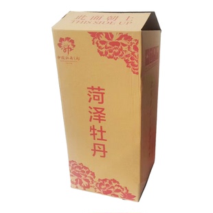 菏泽催花牡丹花盆栽带花苞大花重瓣春节开花好养活室内鲜花年宵花