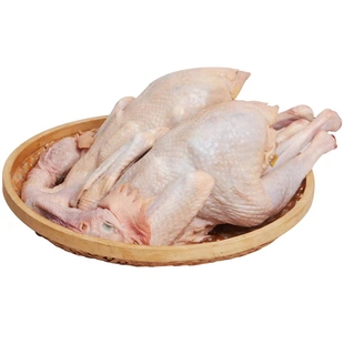 【两只装】童子鸡土鸡农家散养未打鸣仔公鸡走地鸡新鲜现杀小公鸡