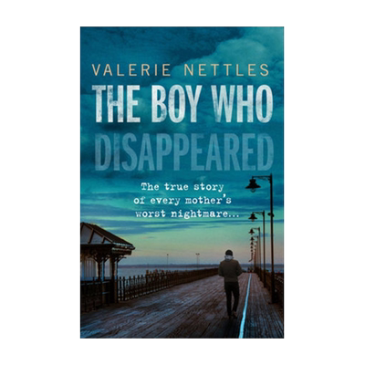 the boy who disappeared 消失的男孩 英文原版 valerie nettles纯全英文版正版原著进口原版英语书籍