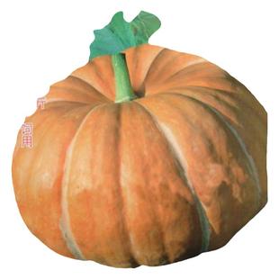 巨型南瓜种籽特大巨人超大南瓜种子庭院观赏食用特色罕见蔬菜种孑