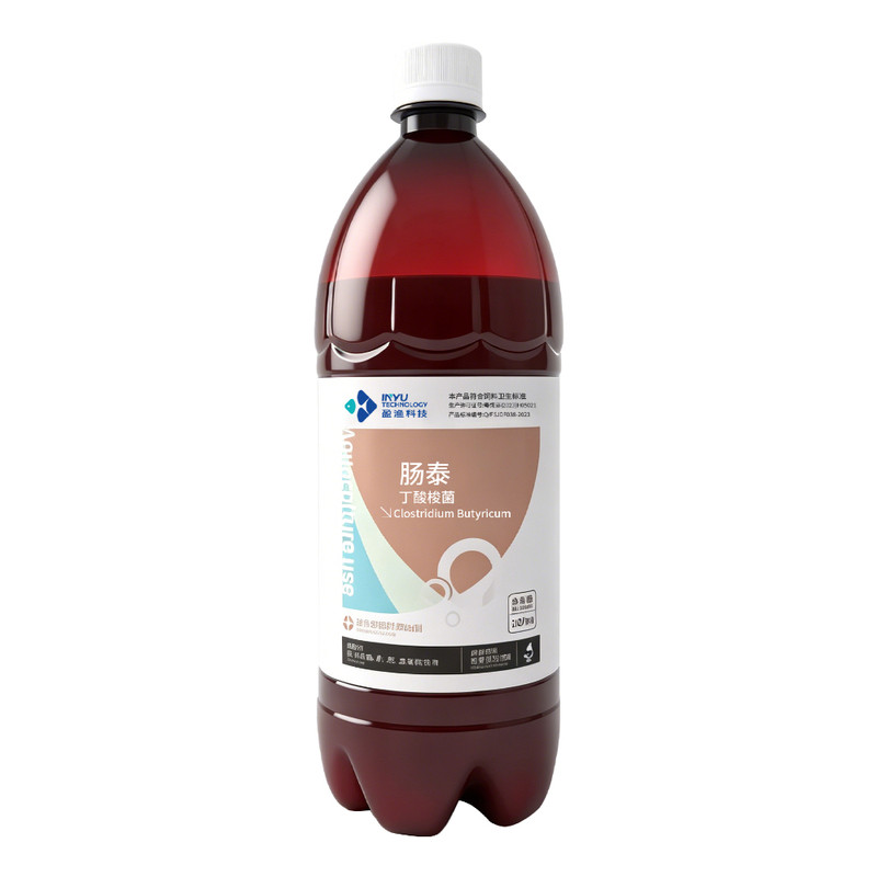 肠泰水产养殖丁酸梭菌改善肠道