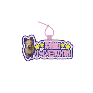 宠物定制挂件不织布文字狗狗防丢牌子吊牌狗牌刻名字挂牌请勿投喂