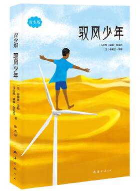 驭风少年青少年版电影原著