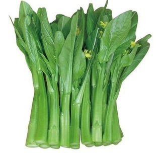 四季甜菜心种子油青菜芯菜苔芯种籽脆嫩清甜好吃阳台盆栽蔬菜种孑