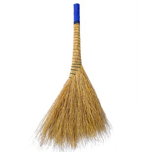 铁扫把农村老式铁树植物草室外工厂家用耐用加厚庭院结实户外神器