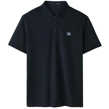 HLA/����֮�Ҷ���POLO��26�����´���