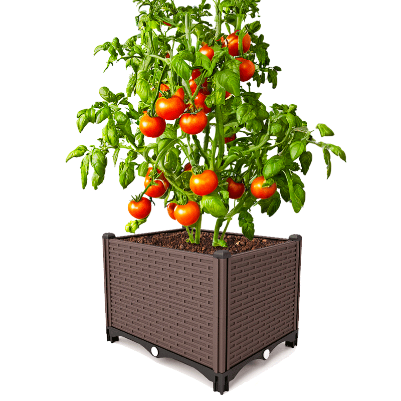 栽树竹子花盆户外特深花箱