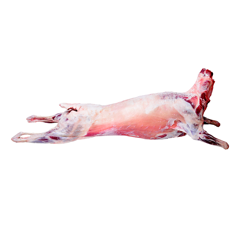 千户侯右玉有机羔羊肉白条羊36斤