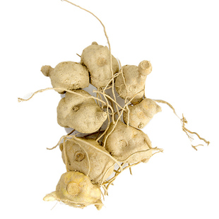 黄精新鲜野深山九蒸九晒云南生鲜滇大鸡头食用农产品多花泡茶泡酒