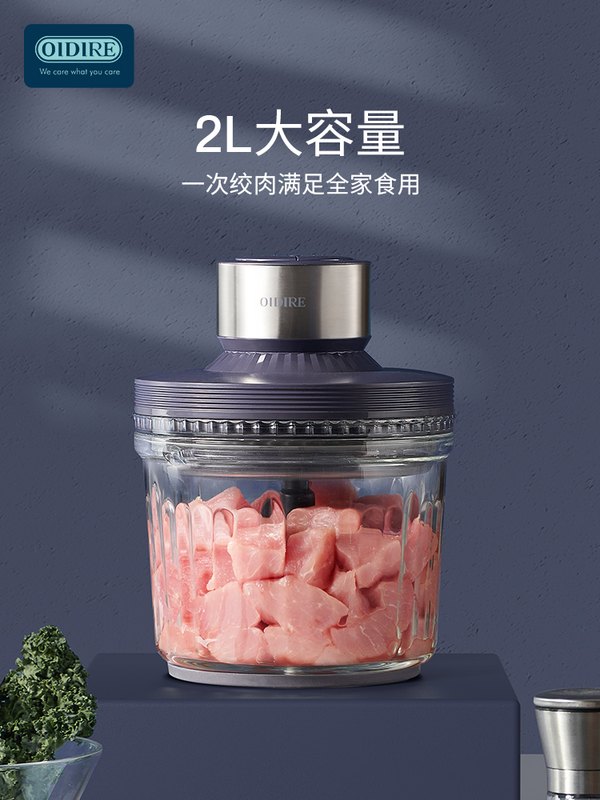 德国304不锈钢绞肉机家用电动小型多功能全自动打肉馅神器碎肉机