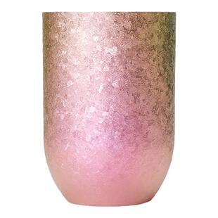 HORIE 日本进口纯钛杯高档轻奢水杯高颜值双层真空保冷保热钛杯子