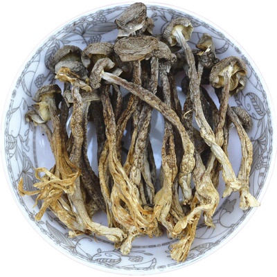 鹿茸菇干货优质无渣云南特产菌类