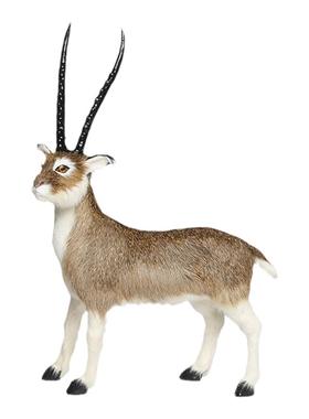 仿真羚羊静态模型摆件真皮毛