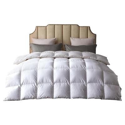 四季通用单人春秋羽绒被