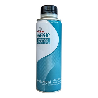 燃油系统广汽传祺缸内直喷