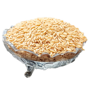 甘肃全新胚芽燕麦米莜麦子破壁去芒刺去涩去苦裸燕麦甜醅5斤包邮