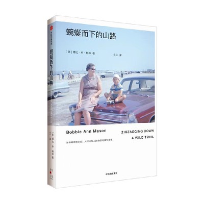 蜿蜒而下的山路博比·安·梅森
