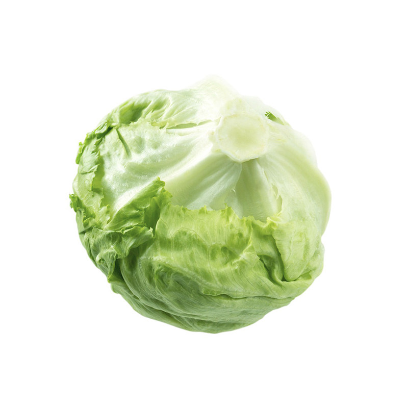 新鲜球生菜汉堡用西生菜沙拉蔬菜