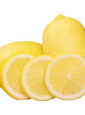 新鲜广东香水黄柠檬奶茶店专用