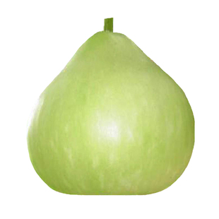 农家圆瓢菜葫芦种子圆瓢菜可做瓠瓜庭院种植种籽春季观赏蔬菜种孑