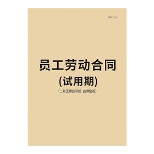 【律师版】试用期协议书实习合同企业公司用人单位员工签署实习见习生劳动劳务协议入职协议书通用单位协议书