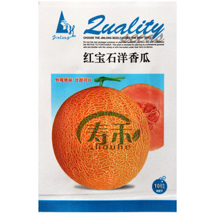 红/绿宝石洋香瓜种子种籽孑 超甜水果甜瓜面瓜香甜小面积阳台水果