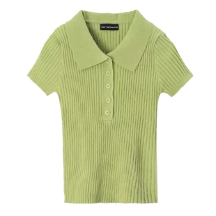 polo领白色短袖t恤女夏季大码胖mm设计感小众短款冰丝上衣针织衫