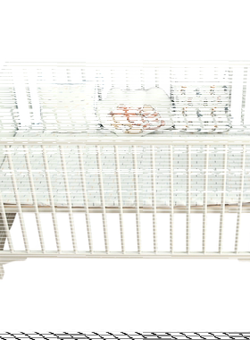良良婴儿宝宝睡觉安全感神器新生