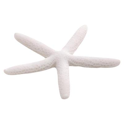 碧欧biorb五指海星装饰配件造景