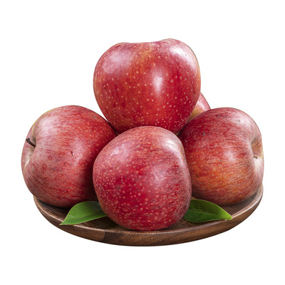 正宗秦冠粉面沙甜苹果产地直发