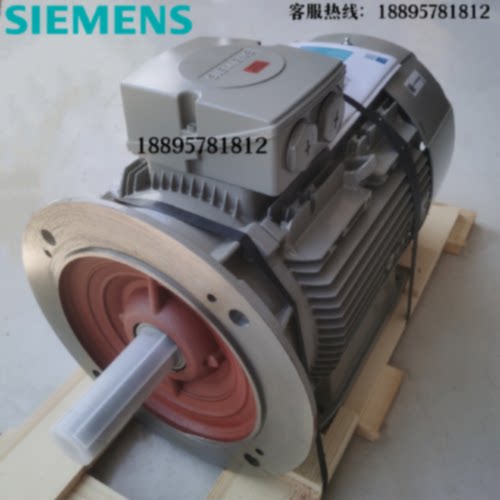 议价西门子电机1LE1001-1DA33-4FA4-Z15KW2P立式进口异步交流电动