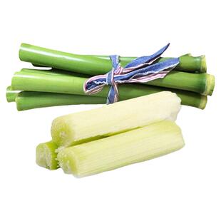 超甜甜杆种子甜高粱春夏秋四季播甘甜多汁水果甘蔗籽北方小高粱孑