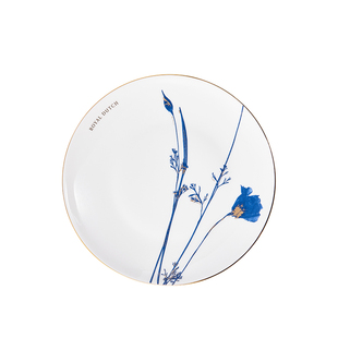 RoyalDutch皇家荷兰标本馆骨瓷餐盘餐具家用高档精致新婚乔迁礼物