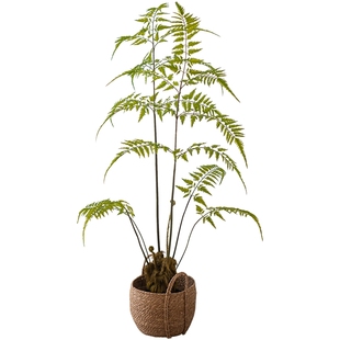 掬涵大型仿真绿植金毛狗猴头蕨植物盆栽装饰高端轻奢客厅盆景摆件