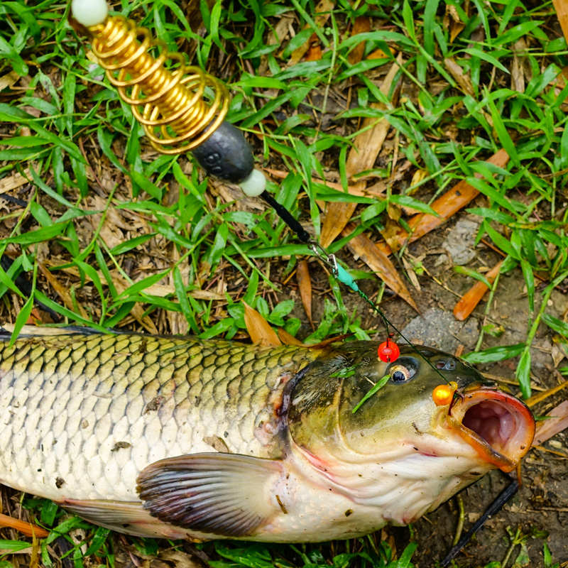 佑宇反底钓组四川珠珠钓法一低一浮伊势尼鱼钩鲤鱼草鱼垂钓小配件
