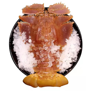 琵琶虾新鲜深海鲜活冷冻巨型舟山宁波生鲜海鲜九齿扇虾大海虾冻虾