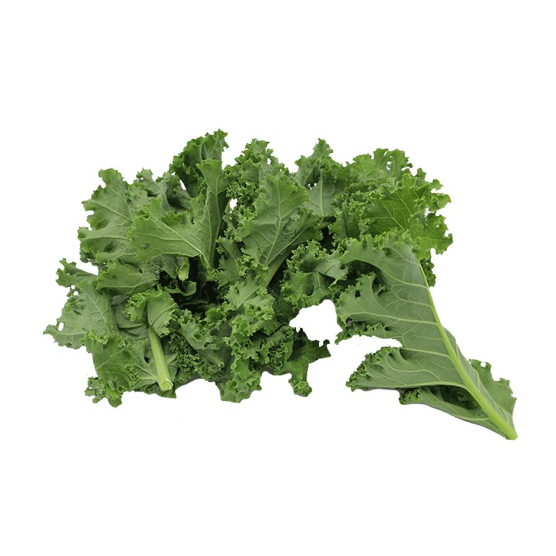 新鲜采摘蔬菜千牛优福羽衣甘蓝