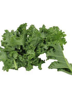新鲜采摘蔬菜千牛优福羽衣甘蓝