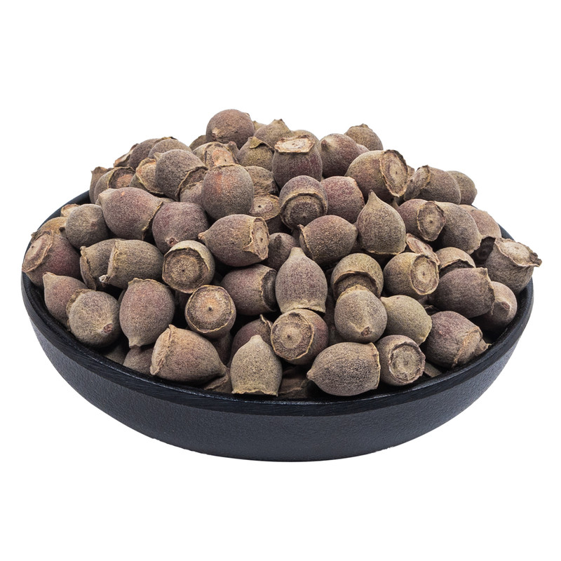广东野生生熟捻子果泡酒料500g