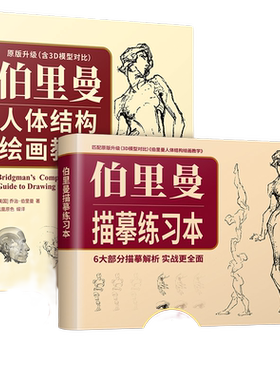 当当网 赠伯里曼描摹练习本 伯里曼人体结构绘画教学 3D模型对比素描基础教程 理解人体形态基础入门 人体结构造型手绘解剖技法书
