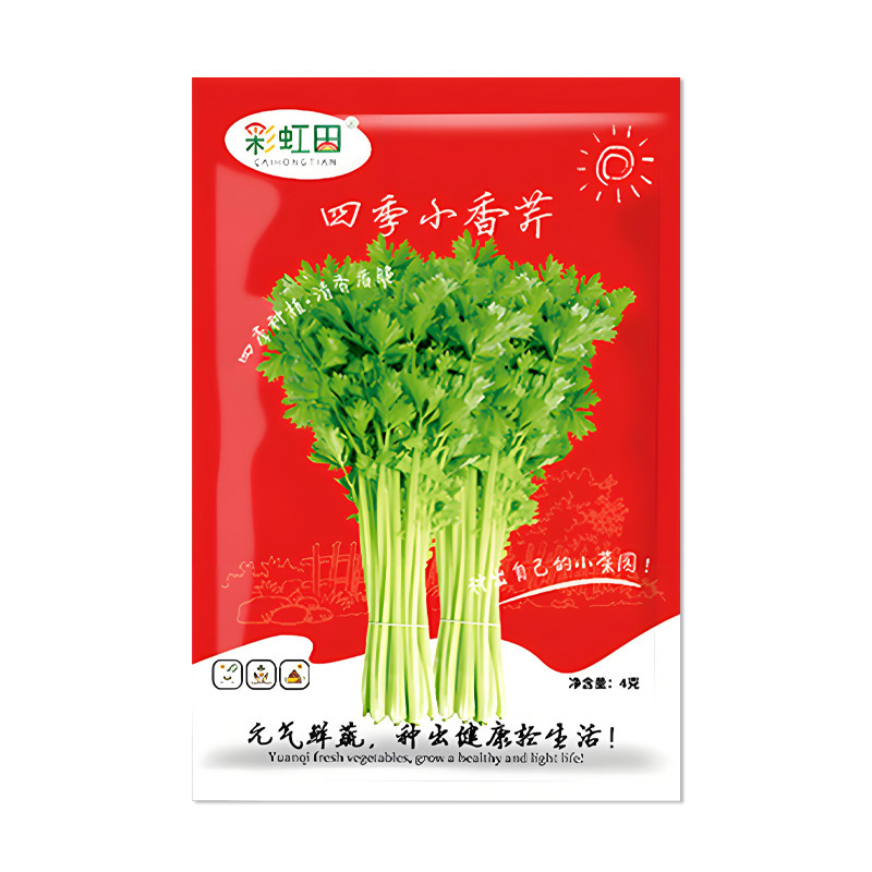 彩虹田四季小香芹种子