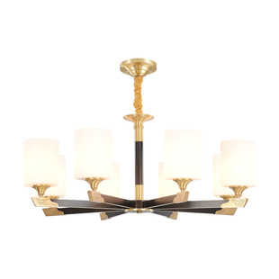 包安装新中式客厅灯主灯餐厅灯防蚊虫全铜灯具客厅吊灯饭店包间灯