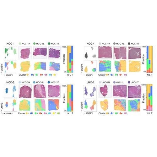 单细胞分析空间转录组学