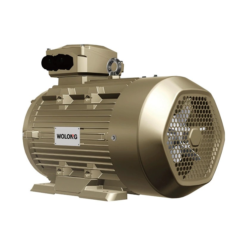 卧龙WERMA5系列永磁辅助磁阻同步电机 变频器成套